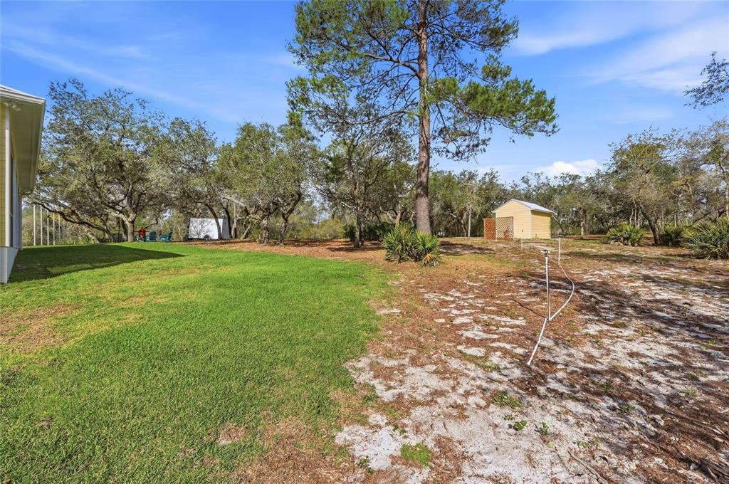 2204 Re Byrd Road Frostproof, FL 33843 - Photo 33 of 49 a view of yard with tree