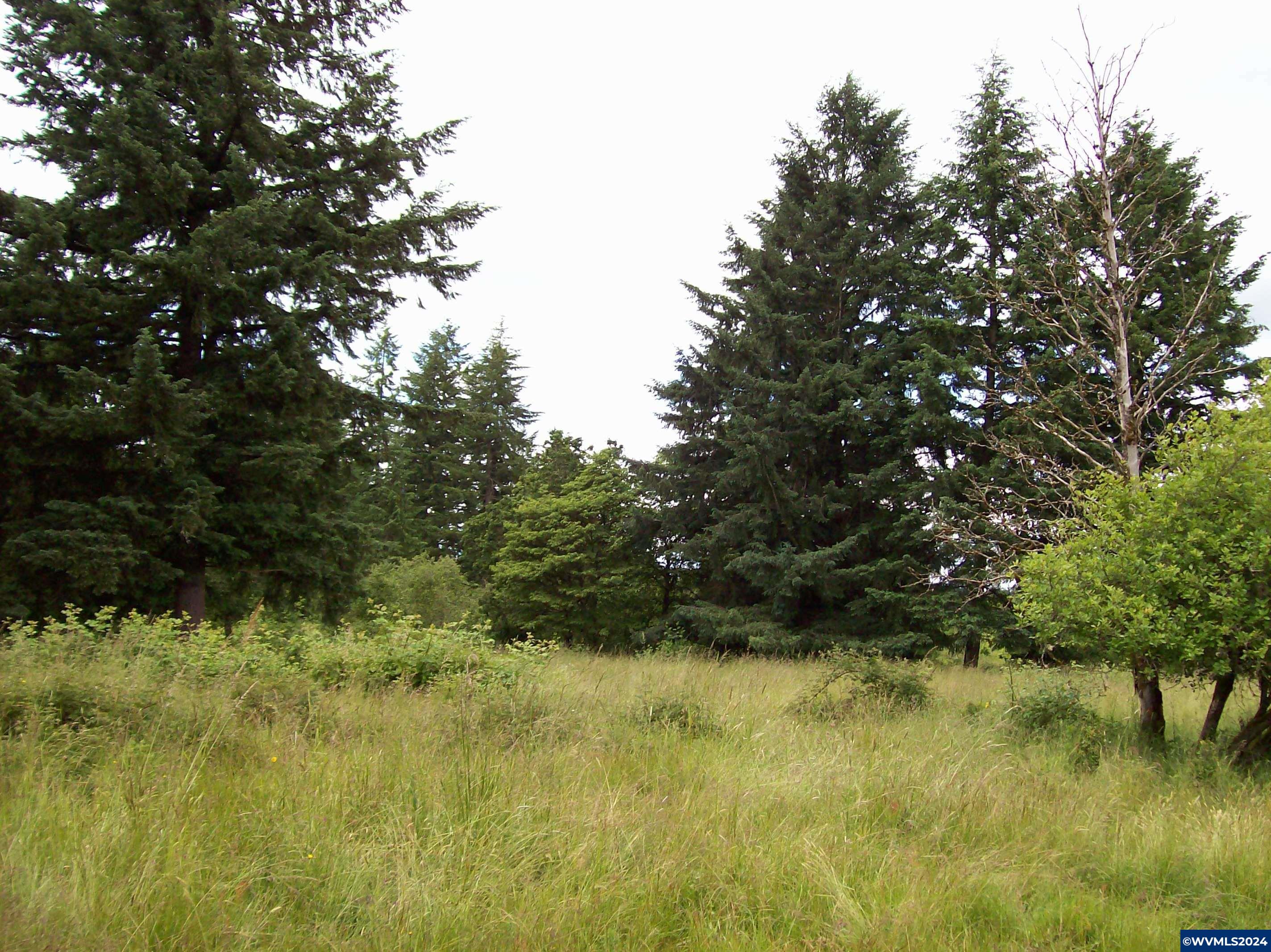 30209 Fairview Road Lebanon, OR 97355 - Photo 27 of 32