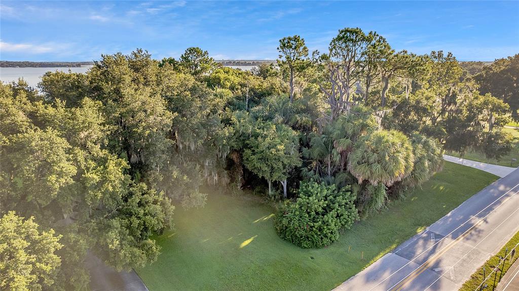 East Shirley Shores Road Tavares, FL 32778 - Photo 1 of 1 Gallery Image 1