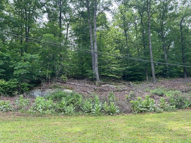 1625 New Buckley Road Ashland, KY 41102 - Photo 14 of 15