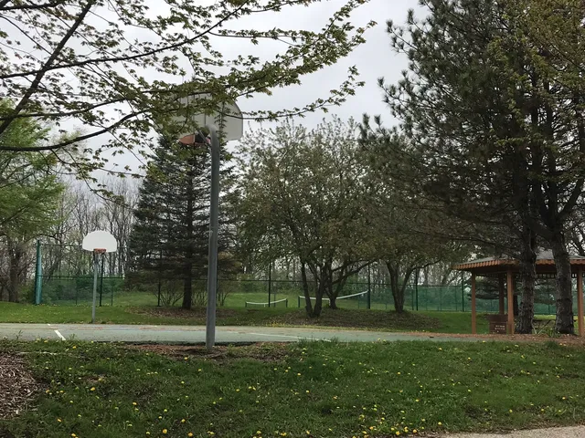 a garden view with large trees
