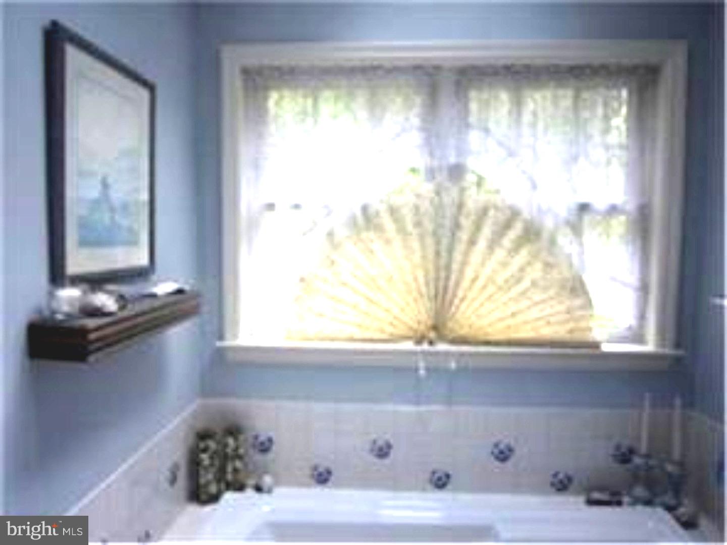 420 Northview Road Birdsboro, PA 19508 - Photo 14 of 19 Master Bathroom