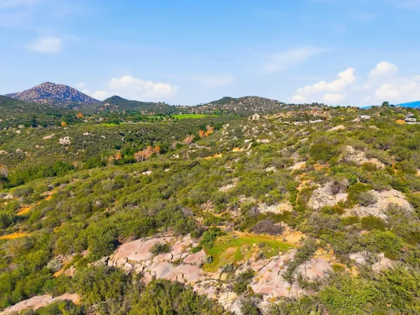 a view of a lush green hillside and a houses