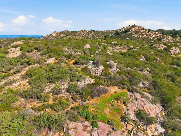 a view of a lush green forest with mountains in the background