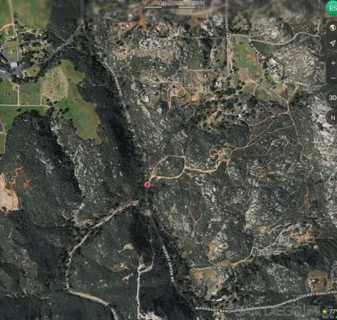 a view of a tree in a yard