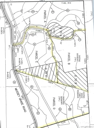 a view of a tree in a garden