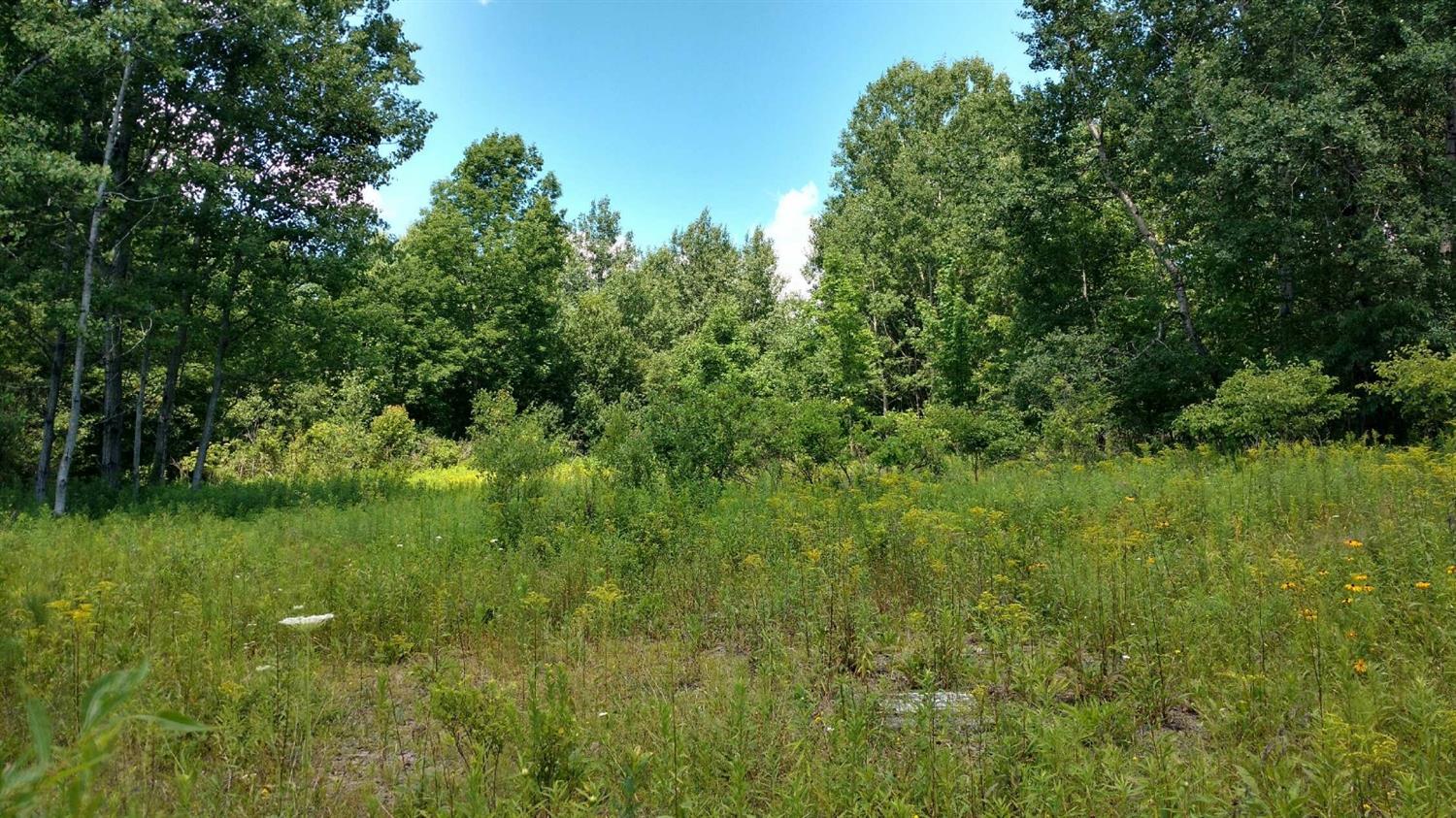 736 Backus Road New Lisbon, NY 13810 - Photo 1 of 1