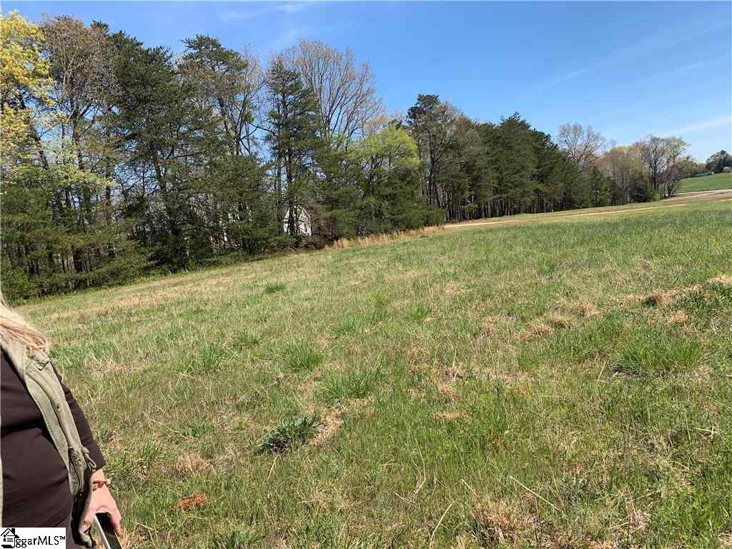 0 Hickory Lane Pendleton, SC 29670 - Photo 6 of 15