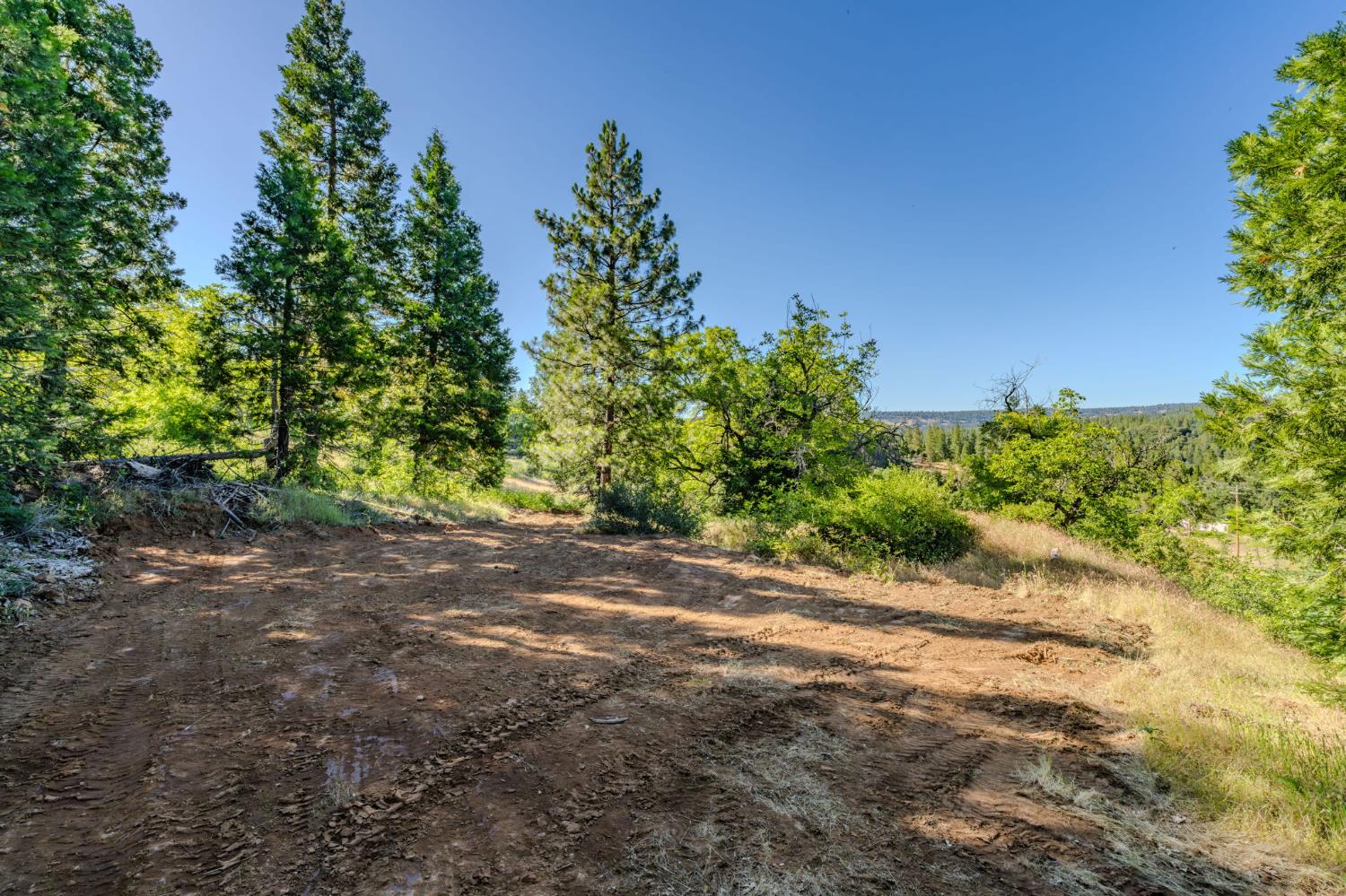 0 Schaefer Ranch Road Pioneer, CA 95666 - Photo 55 of 72