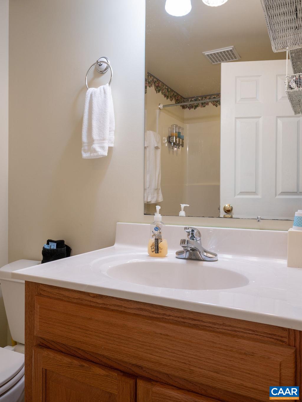 2613 Huntington Road Charlottesville, VA 22901 - Photo 30 of 53 a bathroom with a sink and a mirror