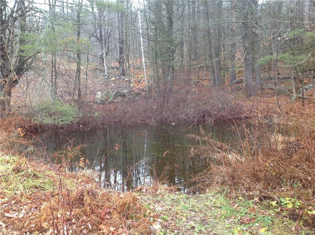 100 Joe Berry Road Cornish, ME 04020 - Photo 31 of 32 Small pond to the left of the 2nd...