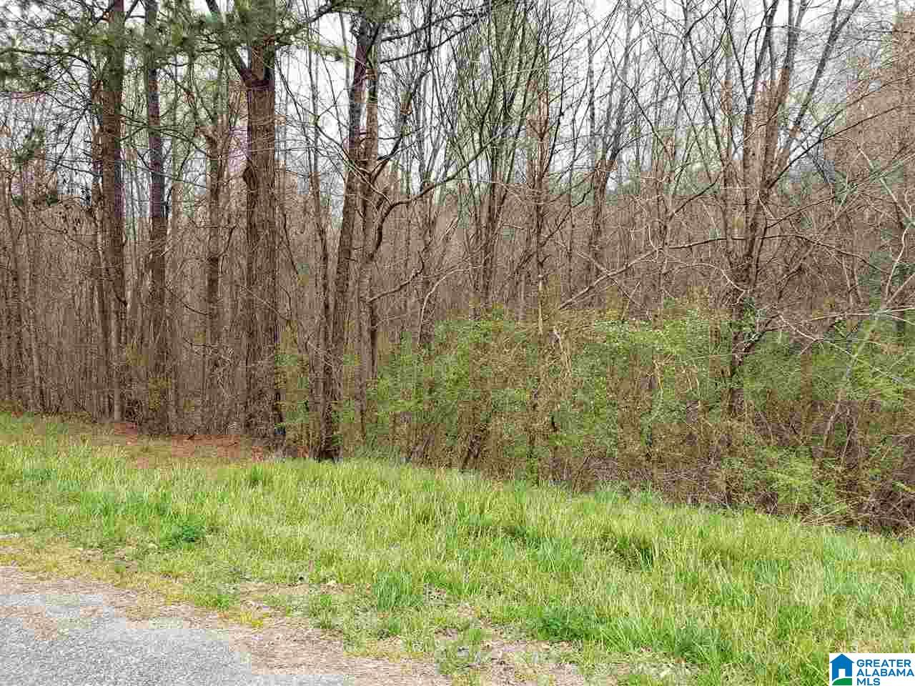 137 County Road 137 Delta, AL 36258 - Photo 1 of 3