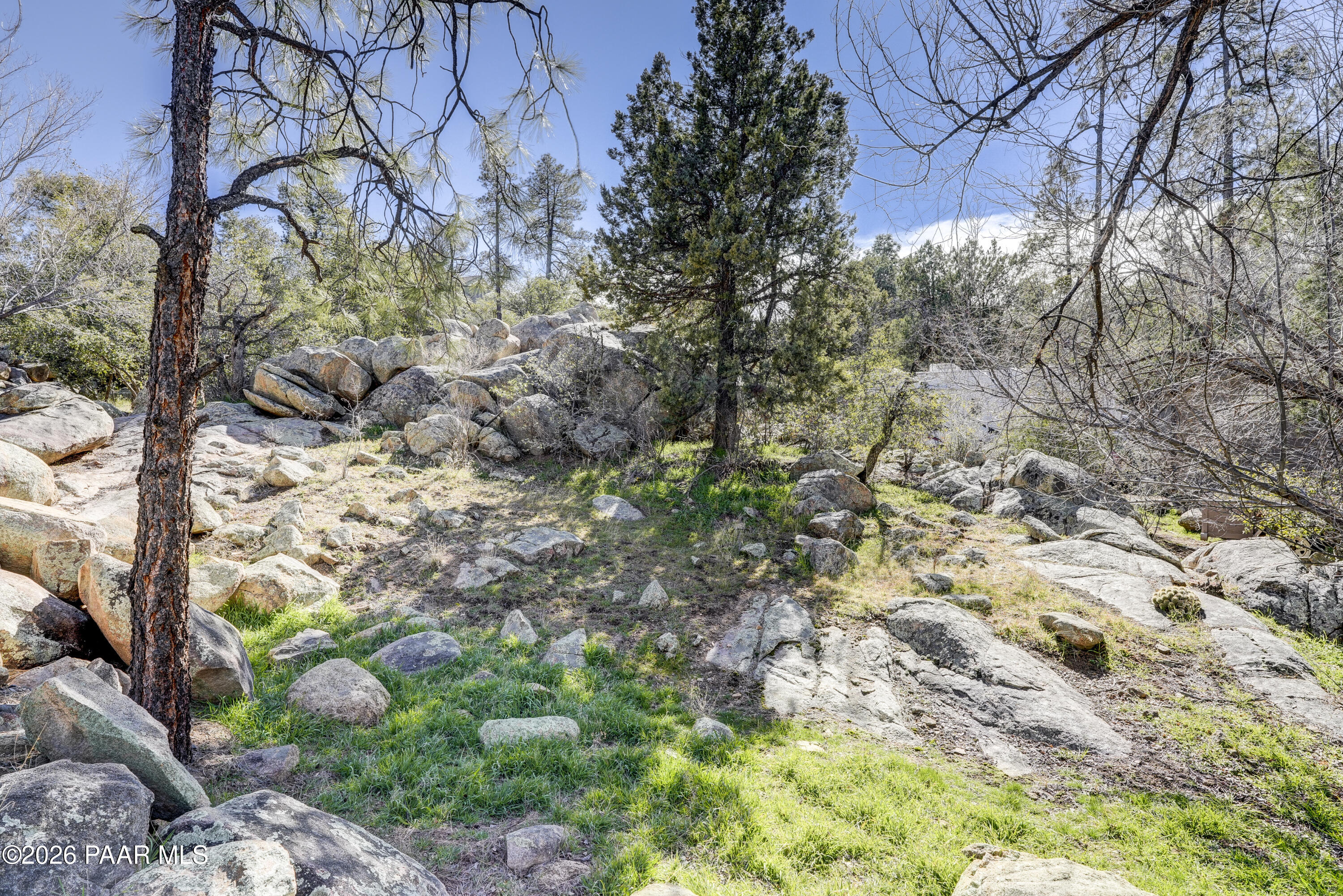 1985 Idylwild Road Prescott, AZ 86305 - Photo 48 of 61 Side Yard 2