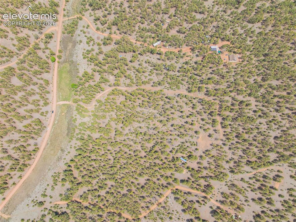 4250 Doe Valley Road Guffey, CO 80820 - Photo 12 of 35