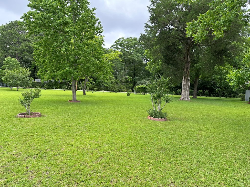 448 Woodham Road Headland, AL 36345 - Photo 31 of 35