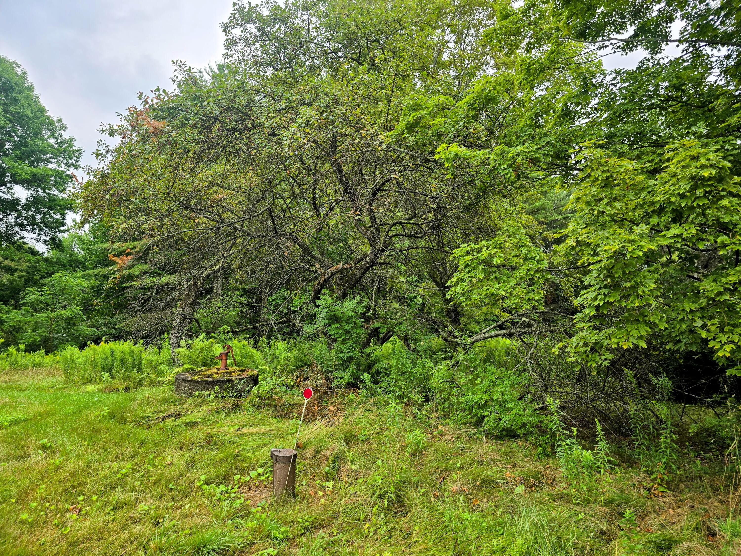 705 Plains Road Mount Vernon, ME 04352 - Photo 9 of 29 20250731_115534-EDIT