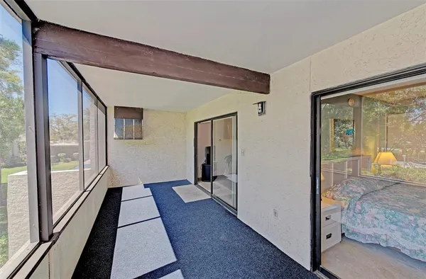 a view of a garden with large trees