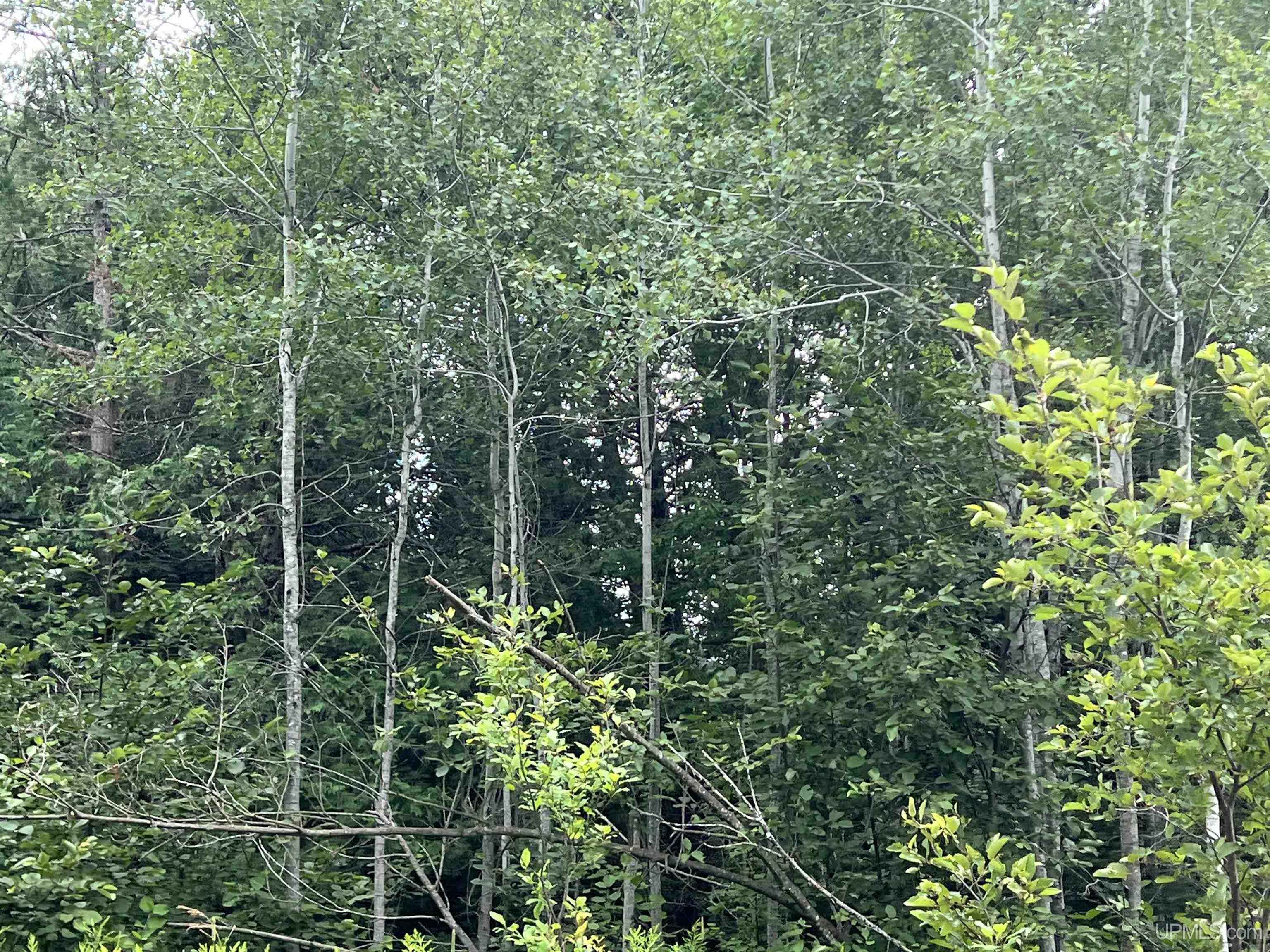 Tbd 40 A Tapio Road Chassell, MI 49916 - Photo 4 of 11