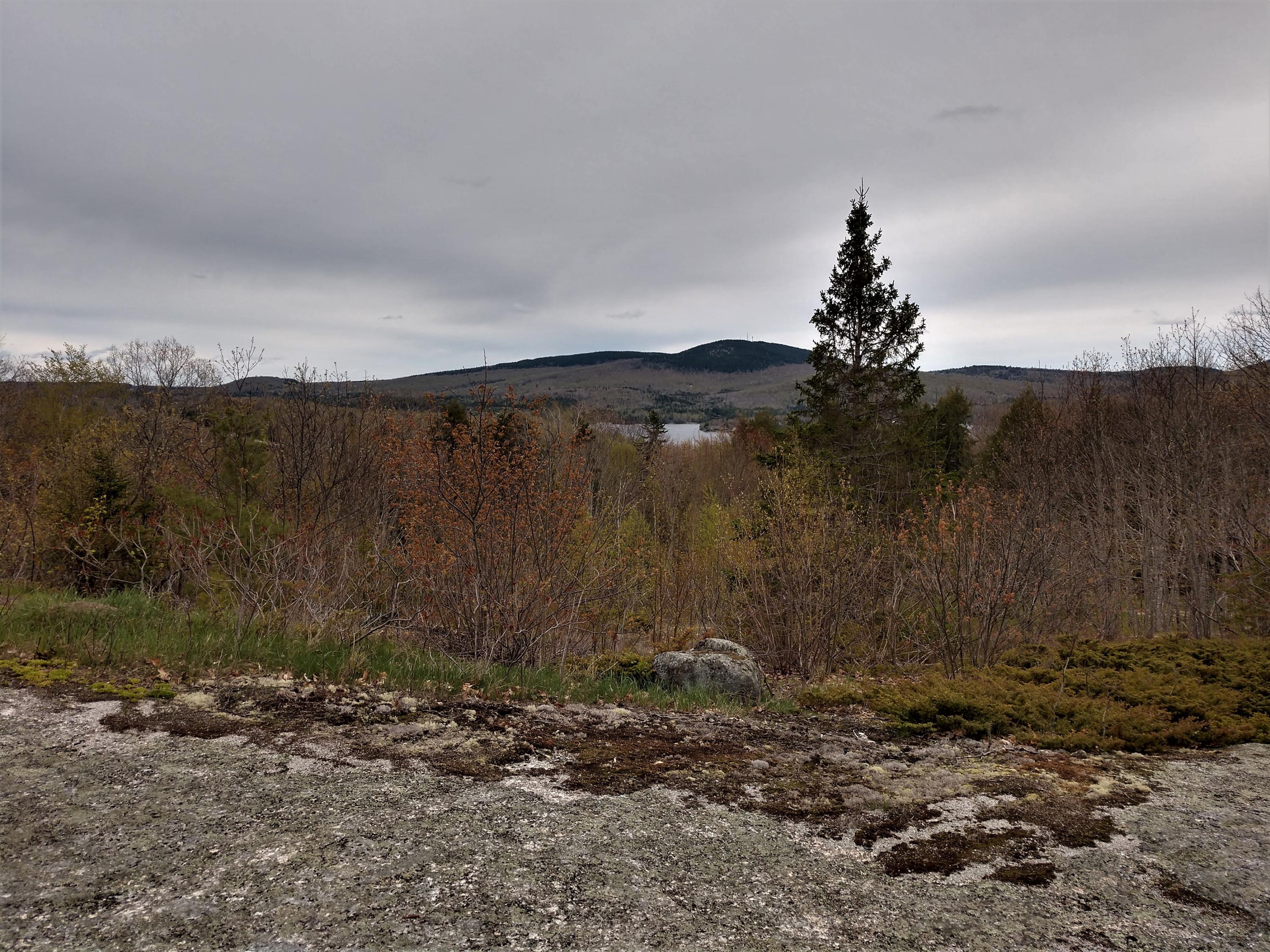 31 Orpine Road Dedham, ME 04429 - Photo 50 of 54 View 1
