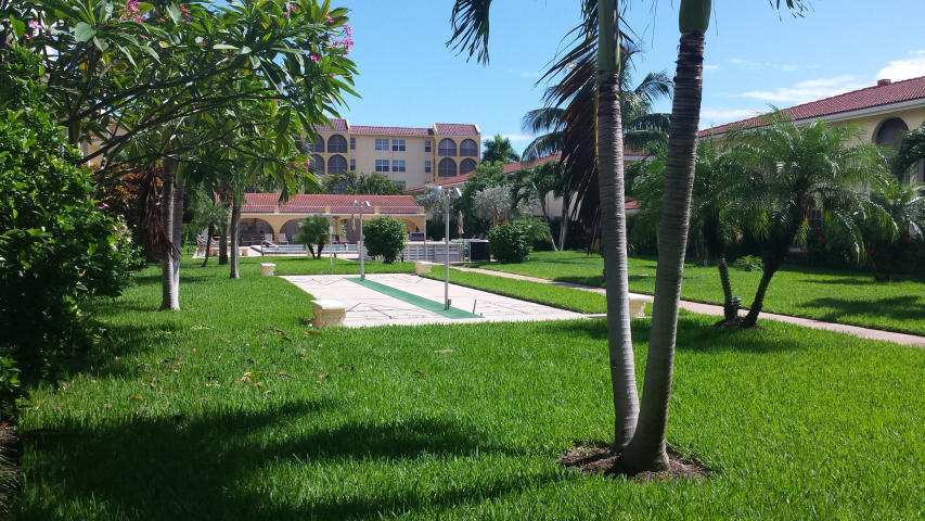 a view of a park with a large tree