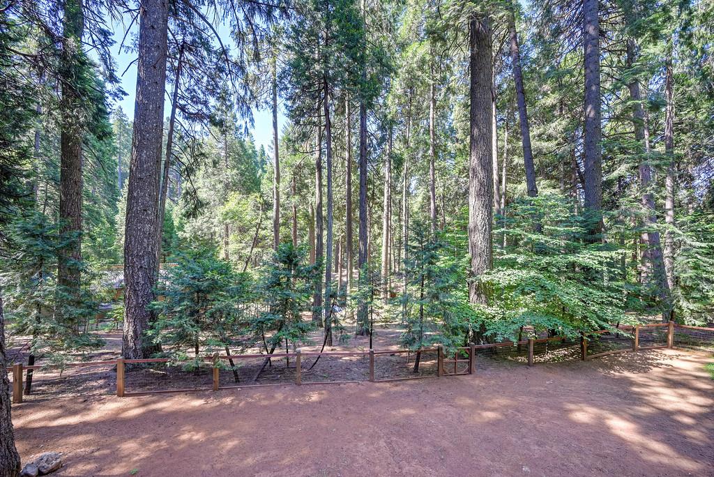 3644 Gold Ridge Trail Pollock Pines, CA 95726 - Photo 36 of 97
