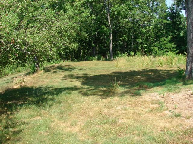 455 Pea Ridge Road Chestnut Mound, TN 38552 - Photo 8 of 9 Gallery Image 8