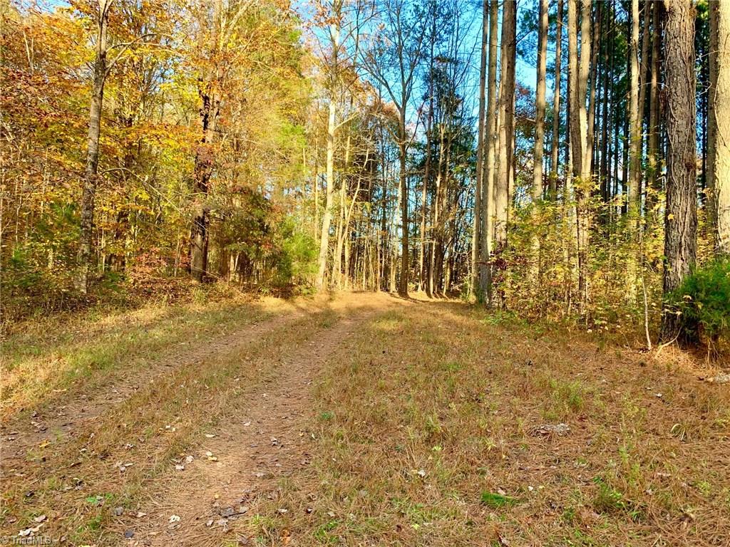 0 Lamb Road Lexington, NC 27295 - Photo 4 of 10 Gallery Image 4