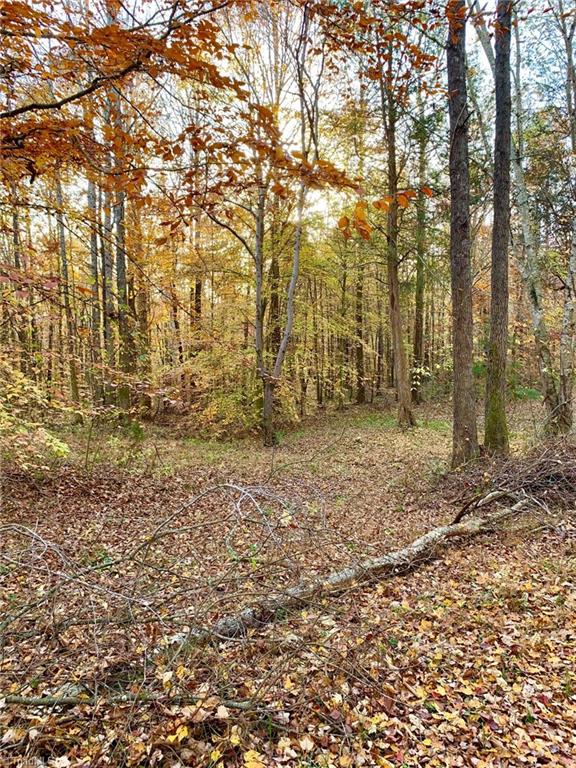 0 Lamb Road Lexington, NC 27295 - Photo 9 of 10 Gallery Image 9