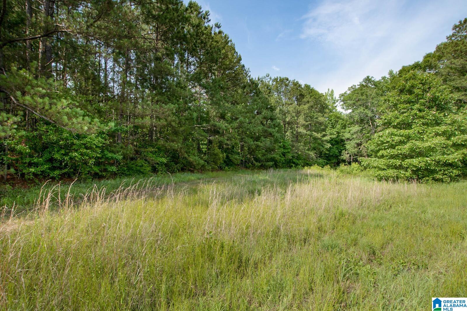 682 Shirley Latham Road Reform, AL 35481 - Photo 35 of 50