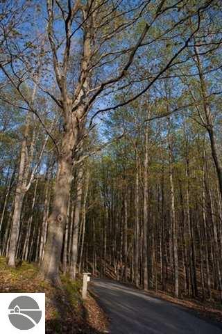 4861 Valley View Road Bellaire, MI 49615 - Photo 27 of 29 1724162-26.JPG