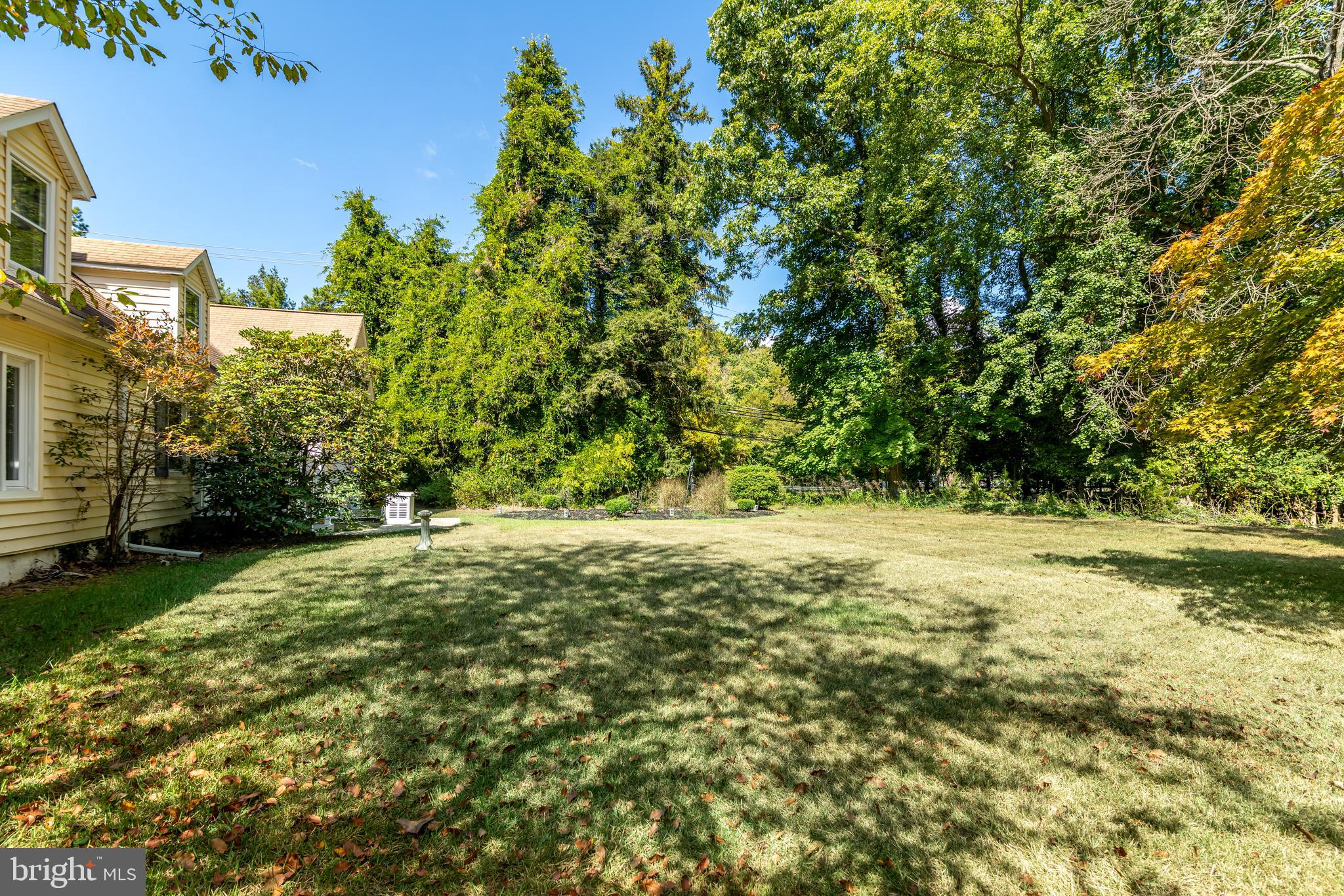 253 Hopewell Road Medford, NJ 08055 - Photo 42 of 50 Back yard view