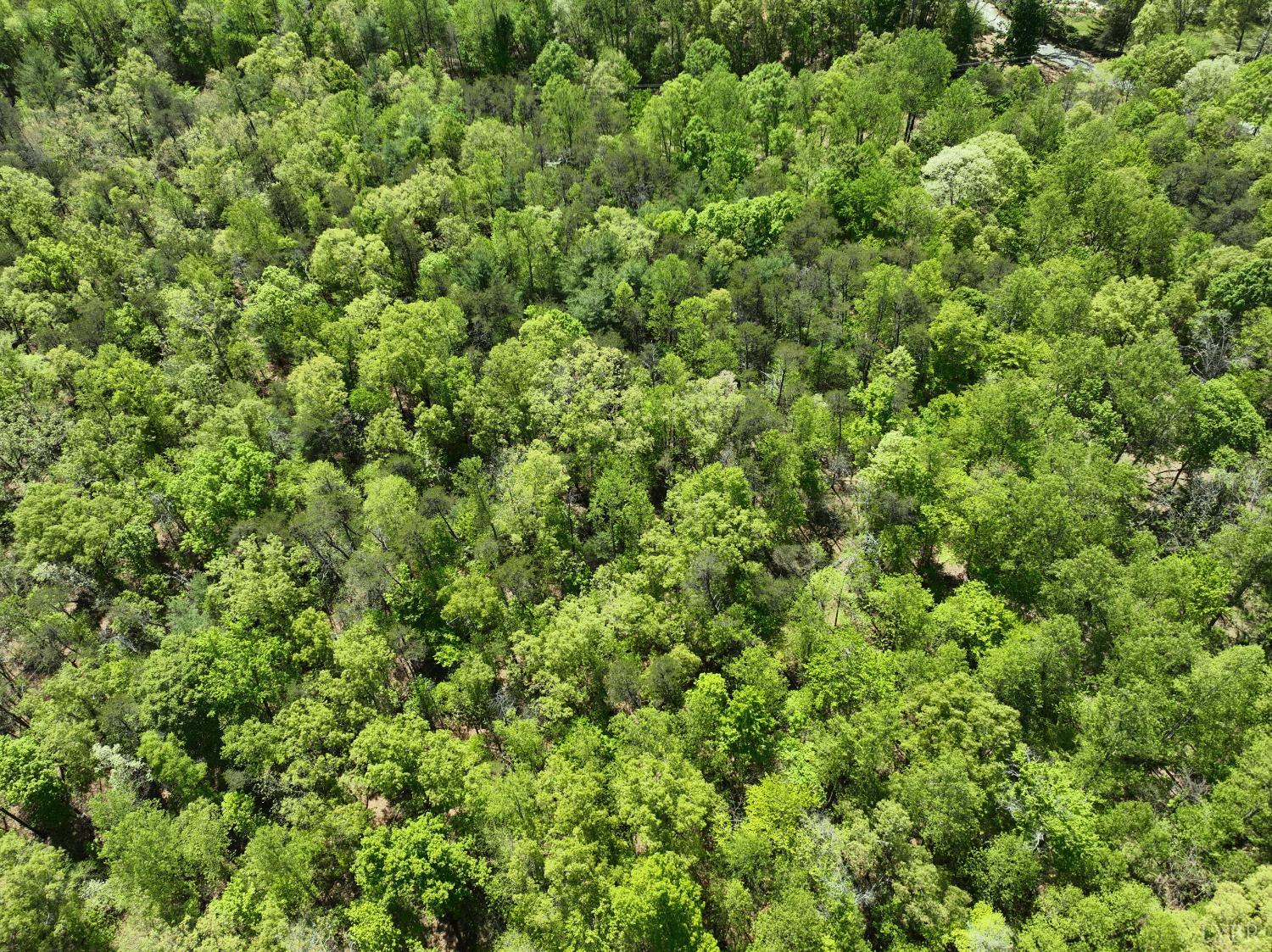 0 Gidsville Road Amherst, VA 24521 - Photo 1 of 17 Gallery Image 1