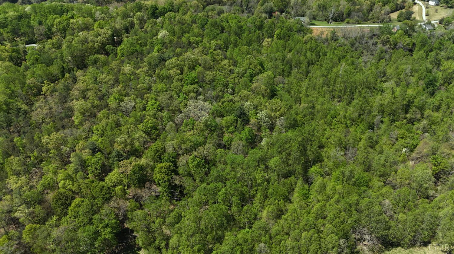 0 Gidsville Road Amherst, VA 24521 - Photo 4 of 17 Gallery Image 4