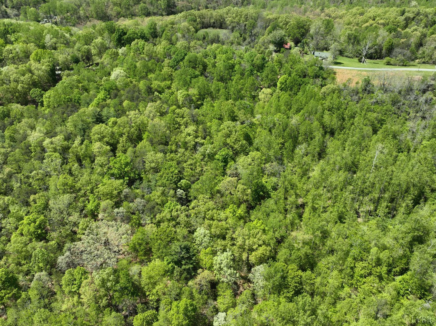 0 Gidsville Road Amherst, VA 24521 - Photo 8 of 17 Gallery Image 8