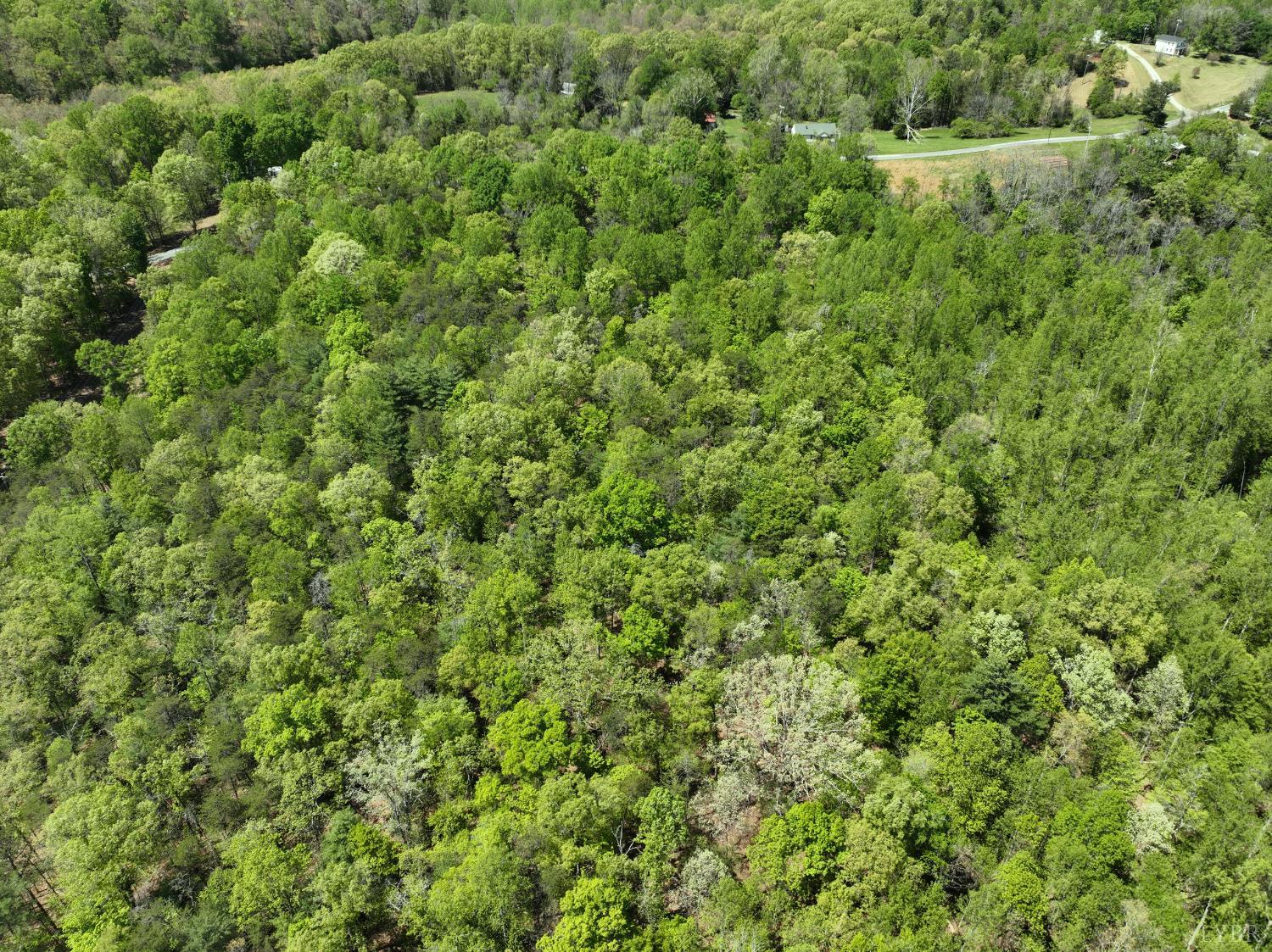 0 Gidsville Road Amherst, VA 24521 - Photo 9 of 17 Gallery Image 9