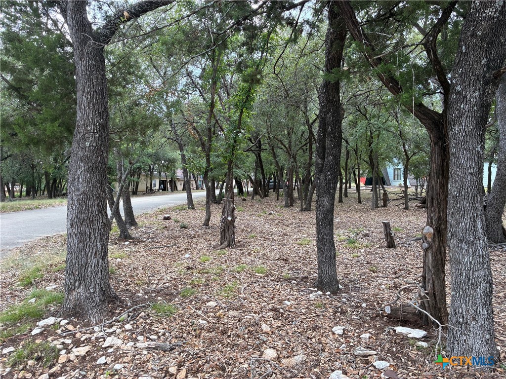 2220 Tye Valley Road Harker Heights, TX 76548 - Photo 2 of 11 a view of a trees and a backyard of the house