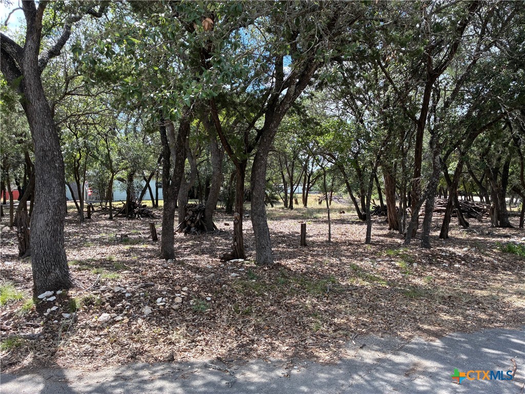 2220 Tye Valley Road Harker Heights, TX 76548 - Photo 4 of 11 a view of trees with tree s