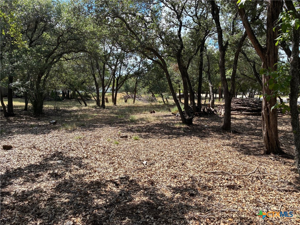 2220 Tye Valley Road Harker Heights, TX 76548 - Photo 5 of 11 a view of a backyard with trees