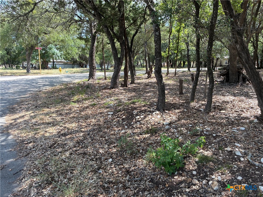 2220 Tye Valley Road Harker Heights, TX 76548 - Photo 6 of 11 a view of open space with trees