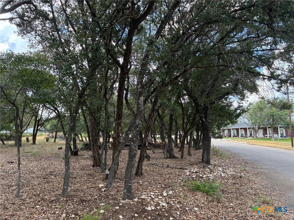 2220 Tye Valley Road Harker Heights, TX 76548 - Photo 7 of 11 a view of park with trees