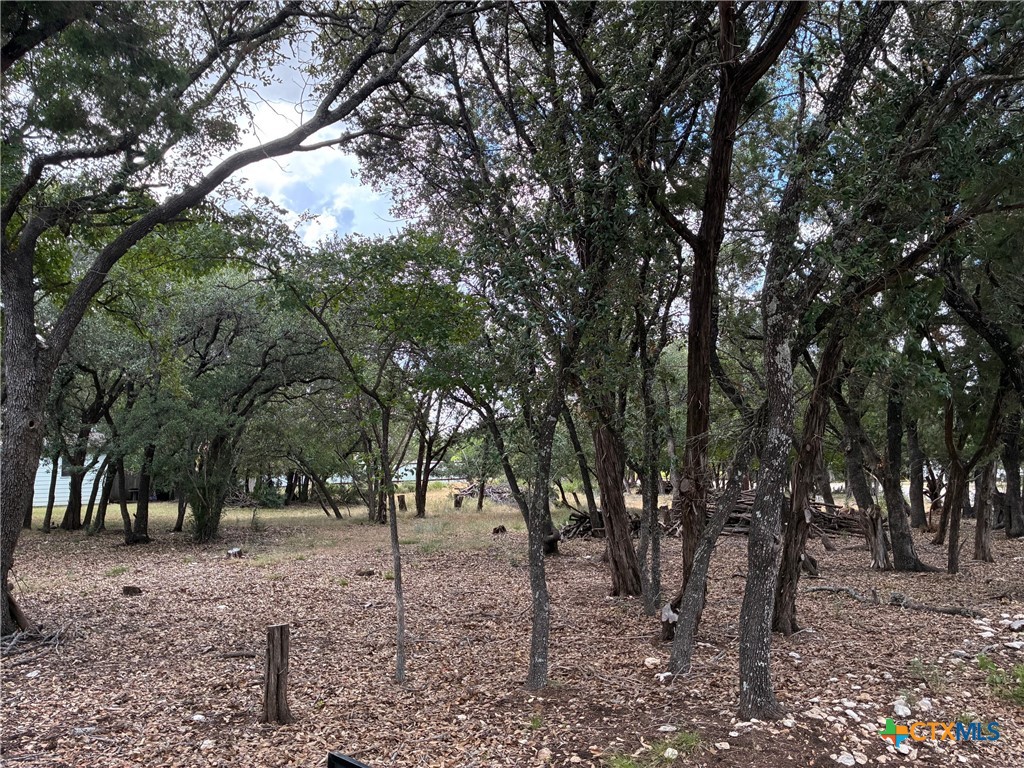 2220 Tye Valley Road Harker Heights, TX 76548 - Photo 8 of 11 a view of outdoor space with trees