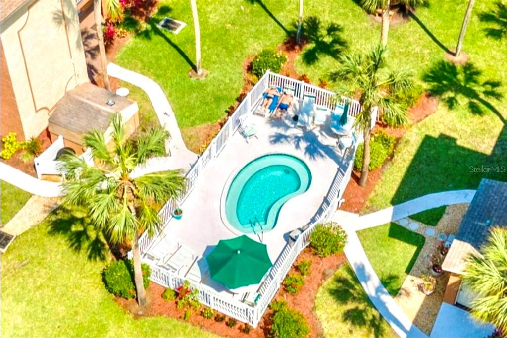 12760 Indian Rocks Road, Unit 903 Largo, FL 33774 - Photo 5 of 19 a view of swimming pool with a garden