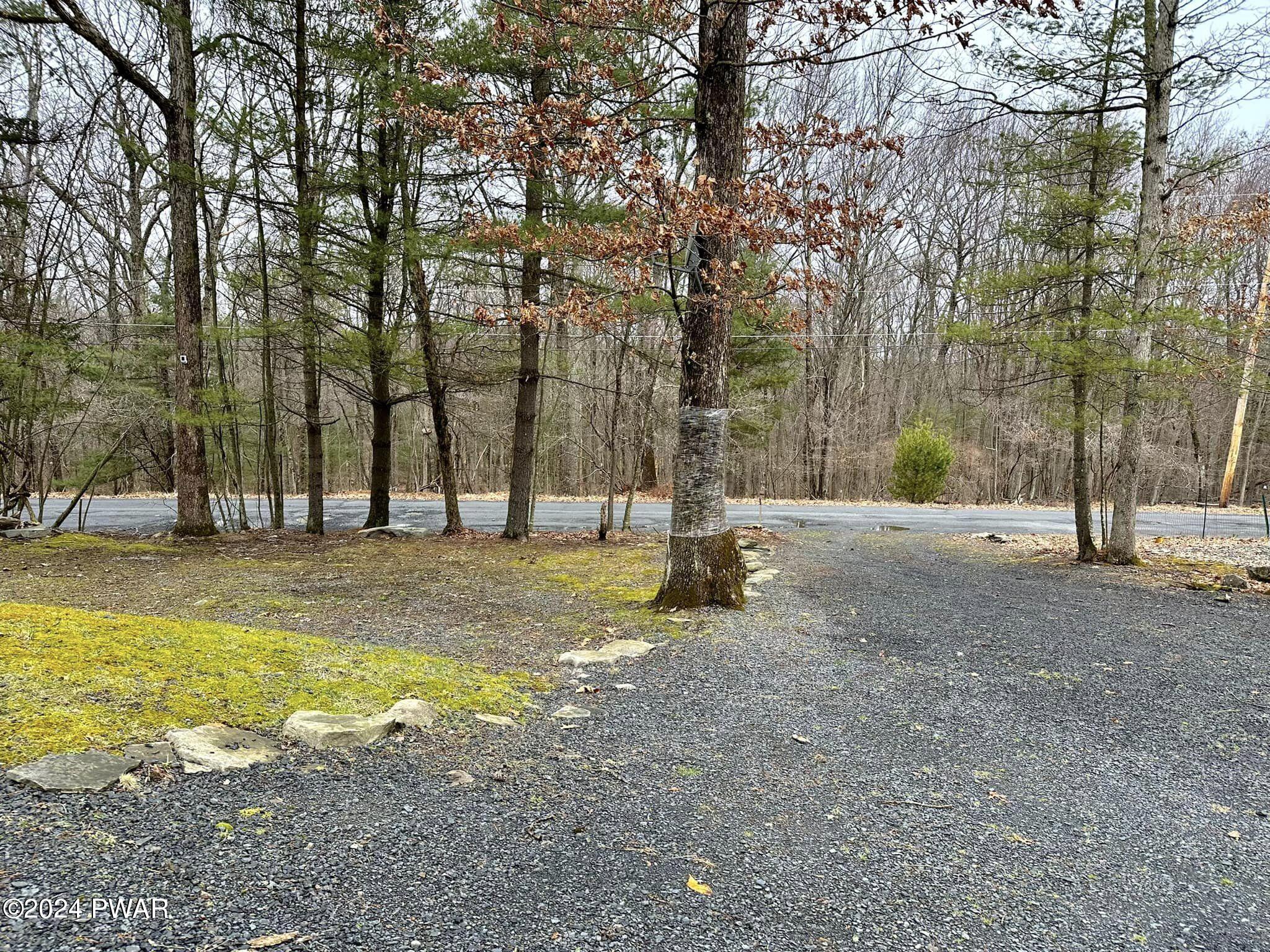 210 Fox Road Dingmans Ferry, PA 18328 - Photo 3 of 38 a view of swimming pool with trees