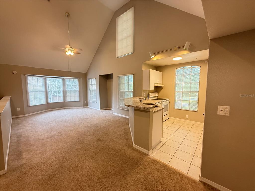 6312 Raleigh Street, Unit 512 Orlando, FL 32835 - Photo 16 of 17 a view of a storage & utility room