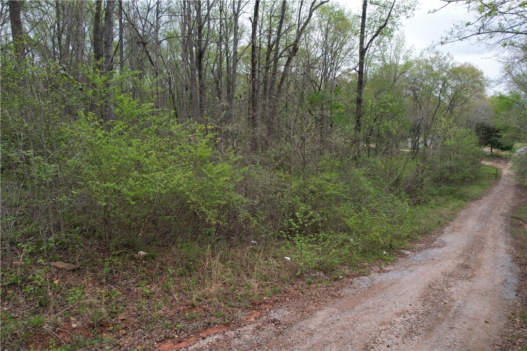 115 Dowell Road Anderson, SC 29626 - Photo 4 of 11