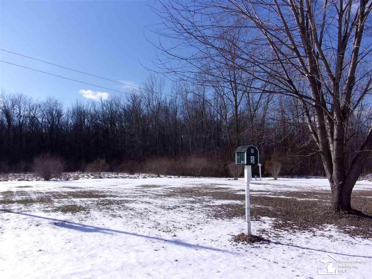 12349 South Custer Road Dundee, MI 48131 - Photo 12 of 15 Gallery Image 12