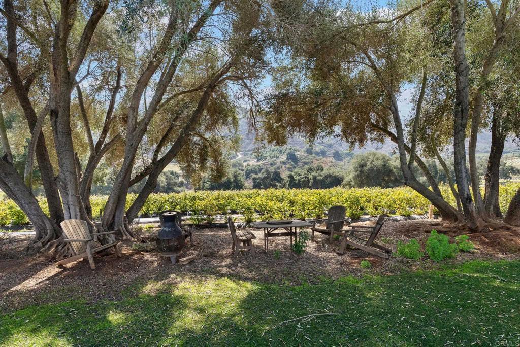 Undisclosed Address Valley Center, CA 92082 - Photo 38 of 60 a view of yard with seating space