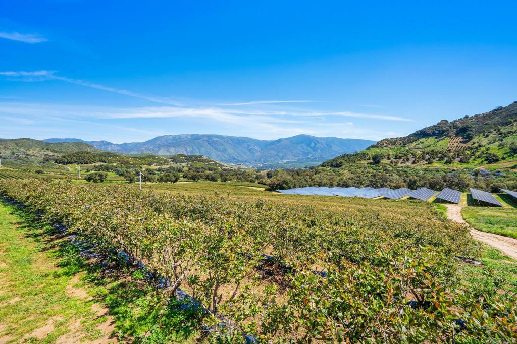 Undisclosed Address Valley Center, CA 92082 - Photo 41 of 60 a view of an ocean and a mountain