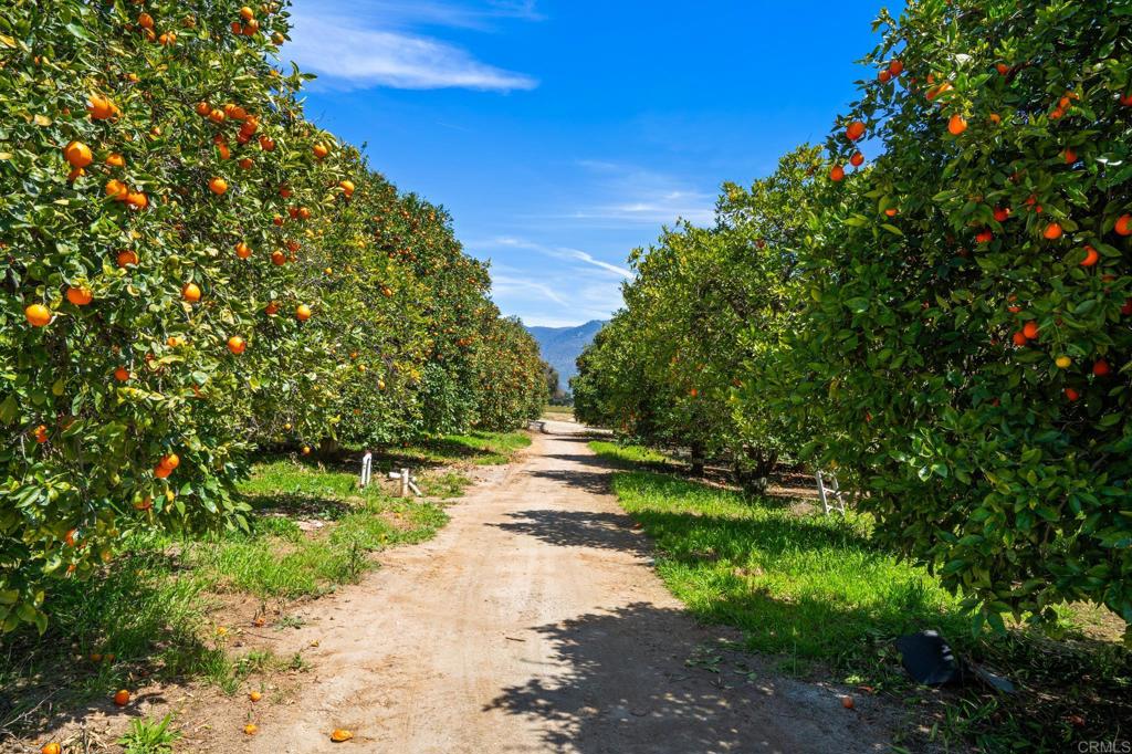 Undisclosed Address Valley Center, CA 92082 - Photo 55 of 60