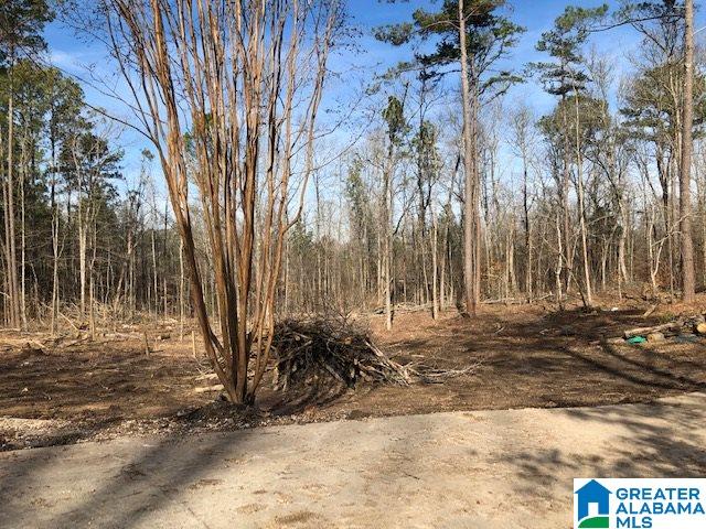 1919 Mt Gilead Road, Unit 9 21 Jacksonville, AL 36265 - Photo 7 of 39